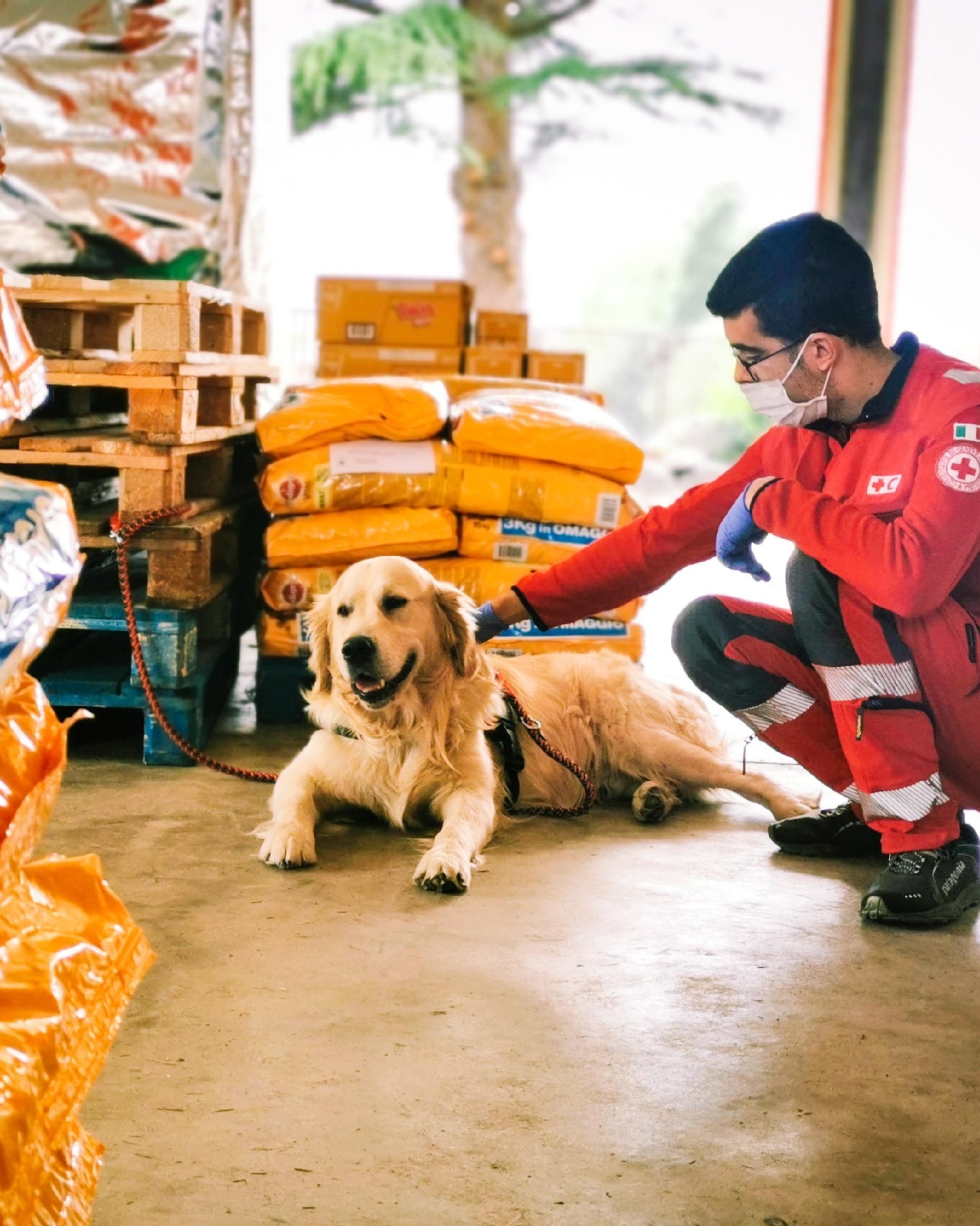 Waltham pet food brands sale